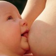 Крайне важно обеспечить малышу грудное вскармливание в первые полгода его жизни — от этого принципиально зависит его здоровье, его рост и развитие.