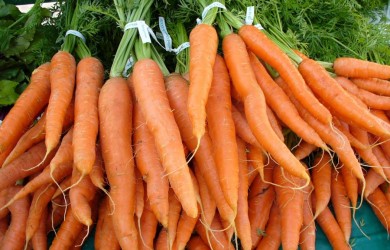 Морковь очень хорошо хранится в погребах и подвалах, а также ямах и буртах, которые не промерзают зимой.